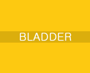 BLADDER