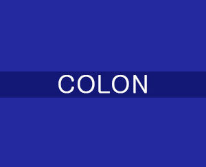 COLON