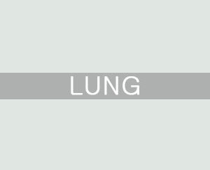LUNG
