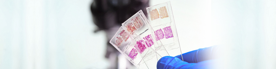 histopathology